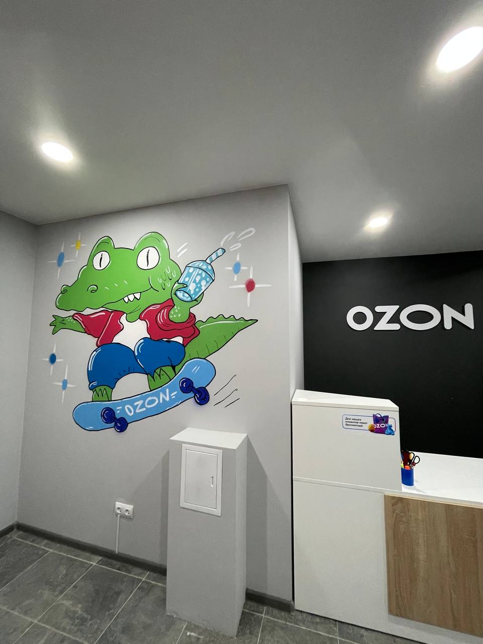 Арт-проект Ozon Ballon